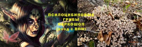 мдпв Протвино
