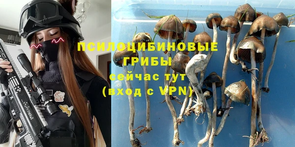 мдпв Протвино