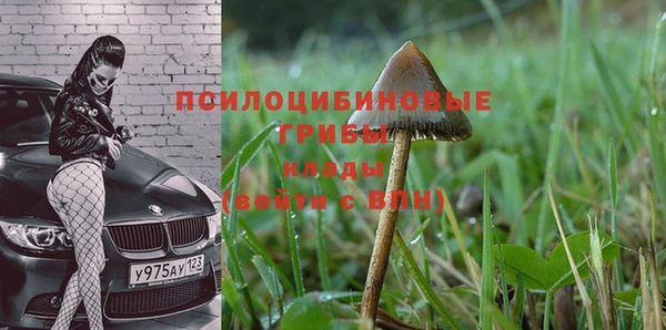 jwh Гвардейск