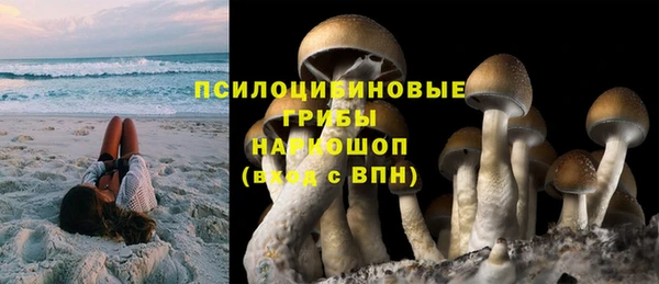 мяу мяу кристалл Пролетарск